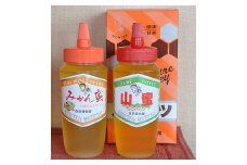 とんがり容器でお届け！はちみつ２種(みかん蜜、山蜜)各　500g(A183-1)