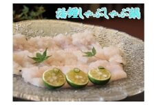 185 プレミア和歌山の辰ヶ鱧！鱧しゃぶセット２～３人前(A185-1)    