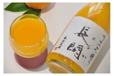 198. 【数量限定】有田市認定みかんジュース「長閑(のどか)」4本セット(A198-1)