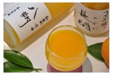 200. 【数量限定】有田市認定みかんジュース「長閑(のどか)」&「八朔ジュース」セット（計4本）(A200-1)