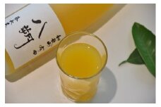 201. 【数量限定】藤長農園の「八朔ジュース」4本(A201-1)