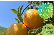 【数量限定】有田市生まれのバレンシアオレンジ（約5kg）(A212-1)
