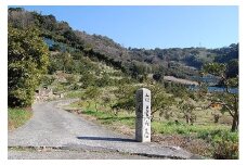 220 語り部と歩きたび★熊野古道★時さかのぼるありだ【完歩証付き】(A220-1)