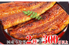 超特大国産うなぎ１本＆蒲焼きカット(A217-1)