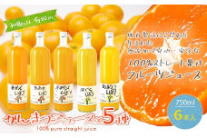 伊藤農園 100%ピュアジュース 大瓶750ml おまかせ6本セット(A224-2)