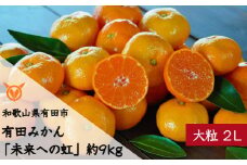 【大粒･2L・LL】有田みかん「未来への虹」（約9kg）(A240-2)