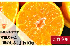 有田みかん「風のしるし」（約10kg）(A241-2)