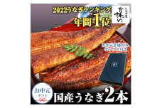 国産うなぎ蒲焼き大サイズ２本セット(A247-2)