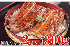 国産うなぎ蒲焼き大サイズ２本セット(A247-2)