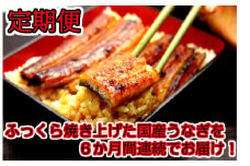【定期便】国産うなぎ蒲焼大サイズ２本セット（６か月お届け）(A265-1)