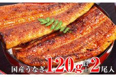 国産うなぎ蒲焼2本セット（120～149g）(A268-1)