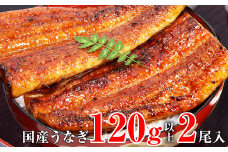 国産うなぎ蒲焼2本セット（120～149g）(A268-1)