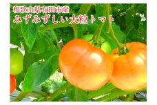 有田産の大玉トマト(A288-1)