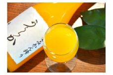 有田みかん搾り「うららか」＆八朔ジュースセット（計6本）(A295-1)