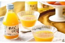 伊藤農園 100％ピュアジュース10本 ギフトセット(A305-1)