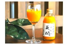 有田市認定みかんジュース「長閑(のどか)」200ml×12本(A308-1)