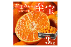 有田市認定みかん「未来への虹」至宝(3kg)【日本初自治体認定フルーツ】(A327-2)