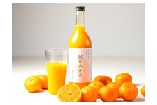 【早和果樹園】飲むみかん12本入（720ml）（A346-2）