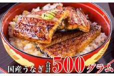 国産うなぎ蒲焼きカット500gセット (A448-1)