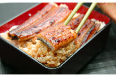 国産うなぎ蒲焼5本セット（1本：120～149g）(A449-2)