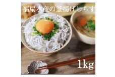 釜揚げしらす1kg【福扇水産】(A480-1)