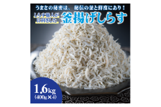 しらす職人が目利きした「釜揚げしらす」１.６ｋｇ(A535-1)