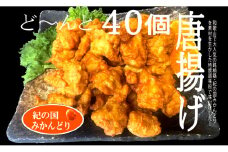 紀の国みかんどり　特選唐揚げ40個セット(A582-1)