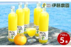 伊藤農園100％ピュアジュースはっさくしぼり750ml×5本（A607-2）