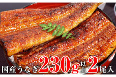 【数量限定】超特大サイズ国産うなぎ蒲焼き2本セット （230～249g×2本）(A632-2)