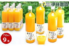 伊藤農園 100％ピュアジュース みかんしぼり750ml×9本（A636-3）