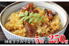 国産きざみうなぎの蒲焼　5食入り   (A648-1)