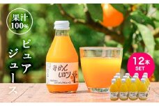 伊藤農園 100%ピュアジュース みかんしぼり180ml×12本（A651-2）