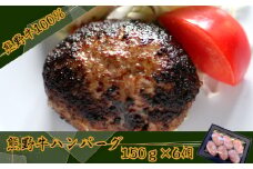 黒毛和牛100％希少なブランド熊野牛ハンバーグ（150ｇ×6個）(A663-1)