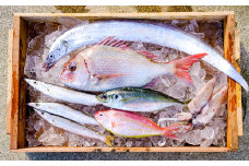 漁師の鮮魚箱（約2kg）(A669-1)
