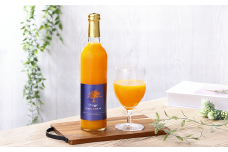 温州みかん100%ストレートジュース【Premium Taste uetomo】500ml×2本セット(A670-1)