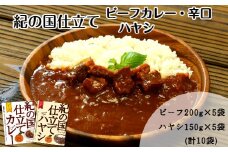 紀の国仕立て食べ比べセット【ビーフカレー：5個　ハヤシライス：5個】(A673-1)