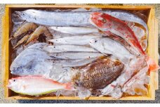 漁師の鮮魚箱（約3kg）(A889-2)