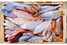 漁師の鮮魚箱（約4kg）(A890-2)