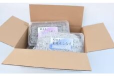 釜揚げしらす【250g×2パック】と上干ちりめん【165g×2パック】セット（A693-2）