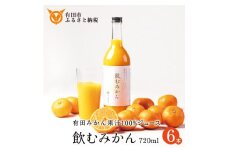 【早和果樹園】飲むみかん（720ml×6本）（A949-2）