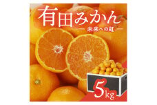 有田みかん「未来への虹」（5kg）(A973-2) 