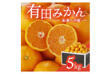 有田みかん「未来への虹」（5kg）(A973-2) 