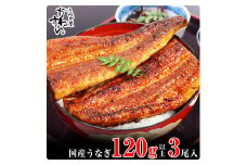 国産うなぎ蒲焼120ｇ 3本セット(A994-1)
