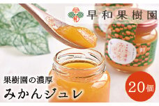 【早和果樹園】濃厚みかんジュレ（20個入）（A954-2）