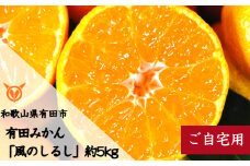 有田みかん「風のしるし」（約5kg）(A1051-1)