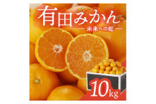 有田みかん「未来への虹」（10kg）(A2-2)