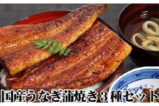 国産うなぎ蒲焼3種セット(A6-1)