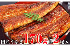 特大サイズ国産うなぎ蒲焼き２本セット   (A318-1)