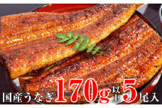 特大サイズ国産うなぎ蒲焼き5本セット（合計850g）(A490-1)