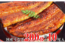 超特大国産うなぎ10本セット （200～229g）(A269-1)